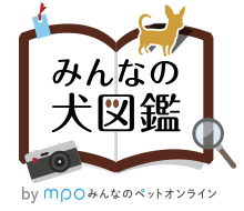 みんなの犬図鑑